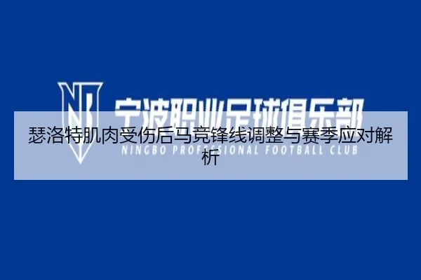 瑟洛特肌肉受伤后马竞锋线调整与赛季应对解析